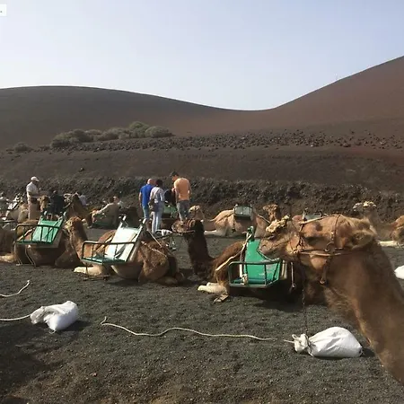 Victoria's * Arrecife (Lanzarote)